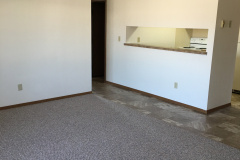 Living-area-kitchen